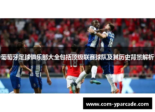 葡萄牙足球俱乐部大全包括顶级联赛球队及其历史背景解析