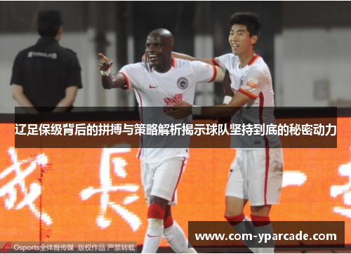 辽足保级背后的拼搏与策略解析揭示球队坚持到底的秘密动力